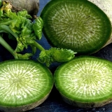 Kineska (margelan) rotkvica